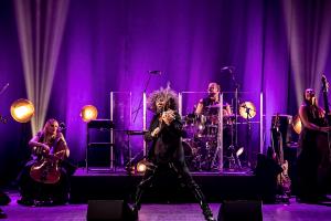 ara-malikian-concerto-bologna-22-novembre-2017-26